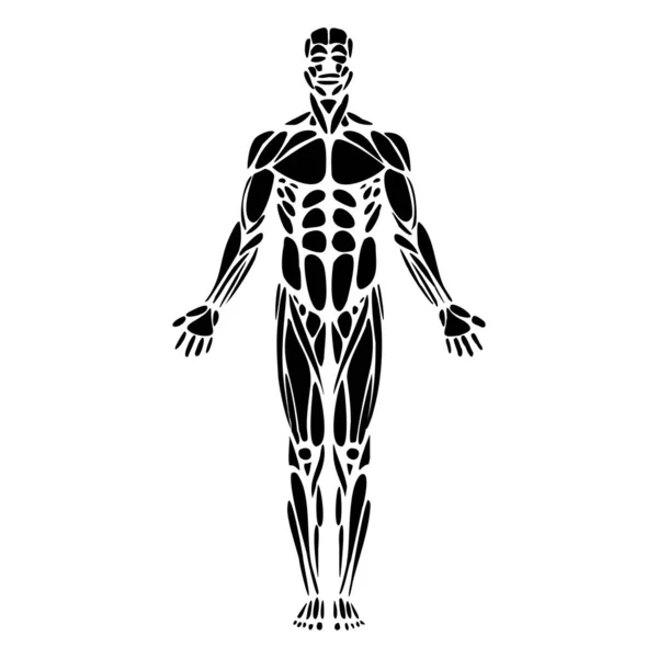 Tıbbi ve sağlık hizmetleri için insan vücudu anatomisi 