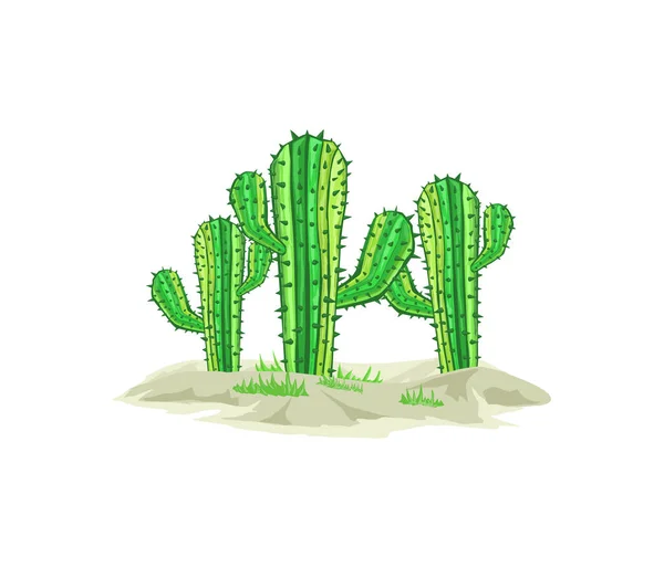 Conjunto de cactos com espinhos e flores cacto de planta verde mexicana com  espinhos elemento do deserto e paisagem do sul ilustração em vetor plana  dos desenhos animados isolado no fundo branco