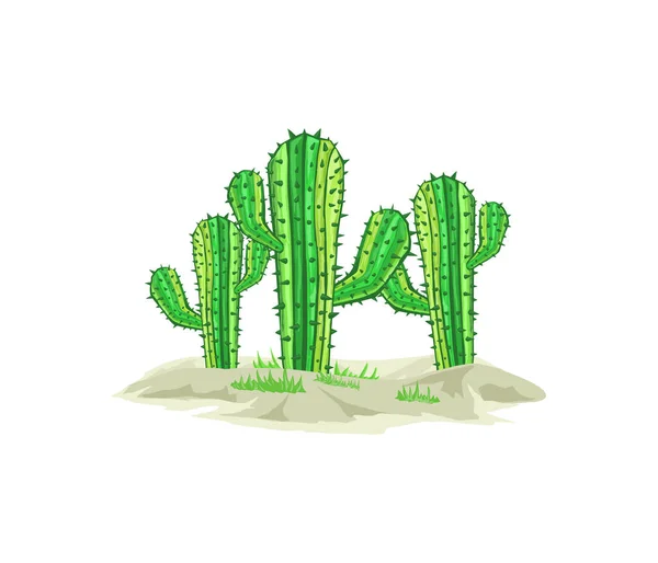 Bannière Cactus Coloré Illustration Vectorielle — Image vectorielle