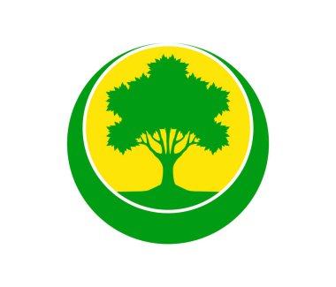 Sarı yapraklı ağaç 