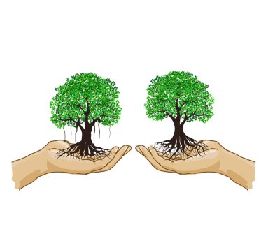 ağaç simgesi vektör illüstrasyonunu ayarladı  