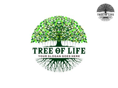 Yeşil yapraklı ağaç ve beyaz arkaplanda izole edilmiş kökler 