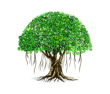 ağaç simgesi vektör illüstrasyonu