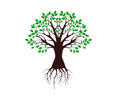 ağaç simgesi vektör illüstrasyonu