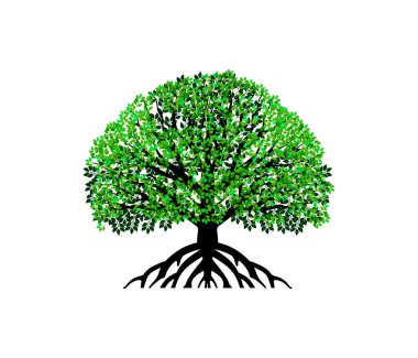 Beyaz arkaplanda izole edilmiş yeşil soyut ağaç 