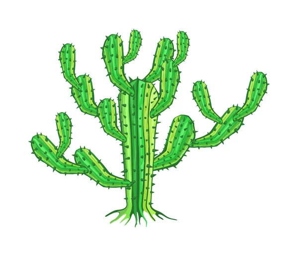 Banner Cactus Colorido Ilustración Del Vector — Vector de stock