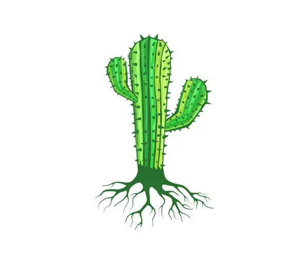 Färgglada Kaktus Banner Vektor Illustration — Stock vektor