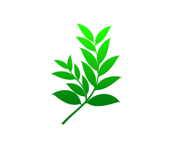 Stilisierter Ast Mit Blättern Symbol Banner Vektorillustration — Stockvektor