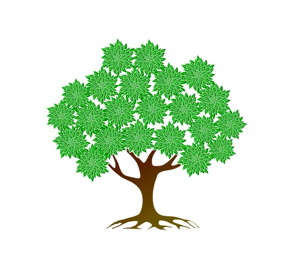 Baum Mit Wurzeln Vektorabbildung Isoliert — Stockvektor