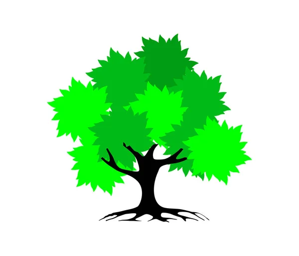 Ikona Drzewa Izolowane Białym Tle Wektor — Wektor stockowy
