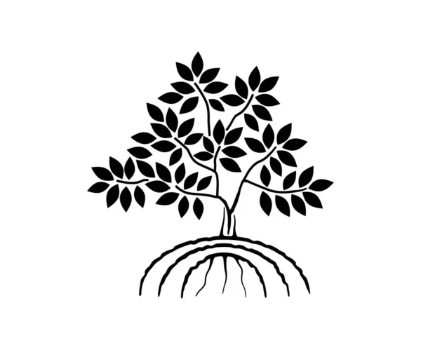 Striscione Albero Mangrovie Illustrazione Vettoriale — Vettoriale Stock
