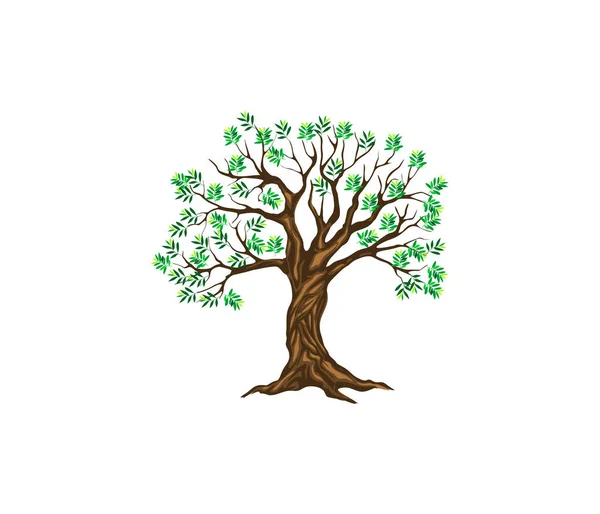Baumsymbol Vektorillustration Natur — Stockvektor