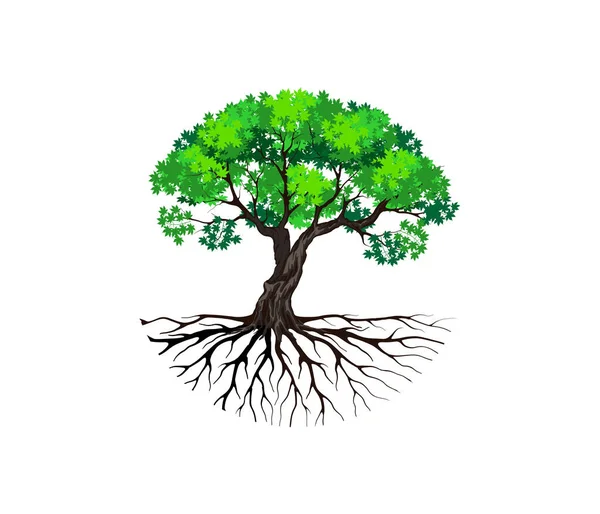 Дерево Иконка Вектора Вашего Проекта — стоковый вектор