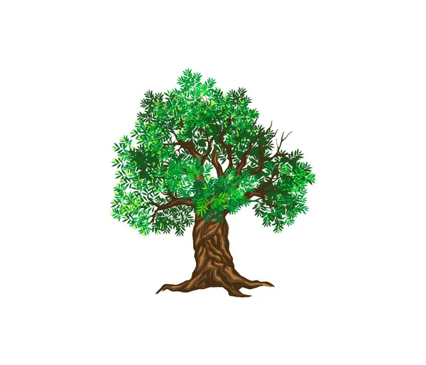 Träd Med Blad Isolerad Vit Bakgrund — Stock vektor