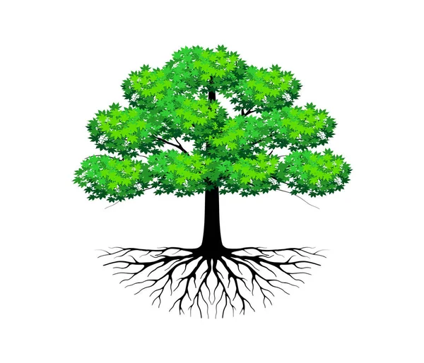 Árbol Icono Vector Ilustración — Vector de stock