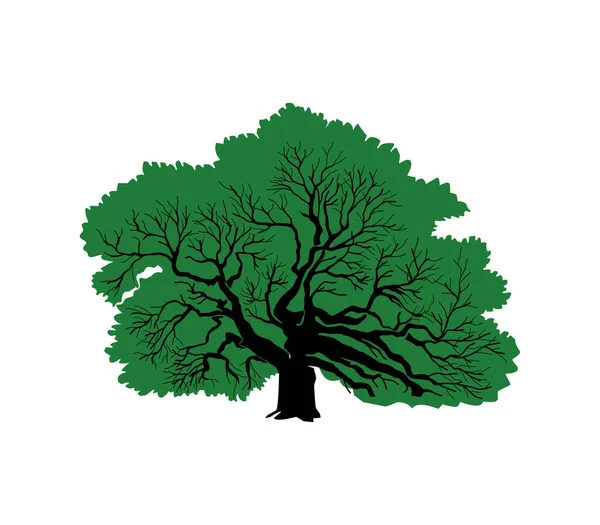 Spanduk Ikon Pohon Ilustrasi Vektor - Stok Vektor