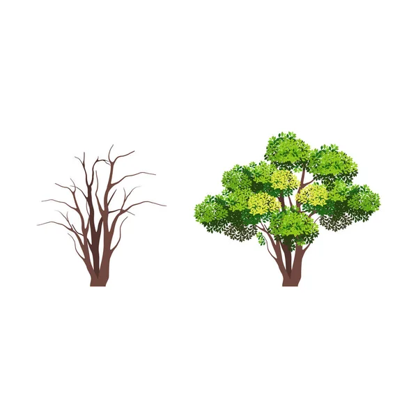 Εικονίδιο Σύνολο Δένδρων Διανυσματική Απεικόνιση — Διανυσματικό Αρχείο