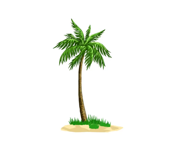 Palm Med Två Palmer Vit Bakgrund Isolerad Vektor Illustration — Stock vektor