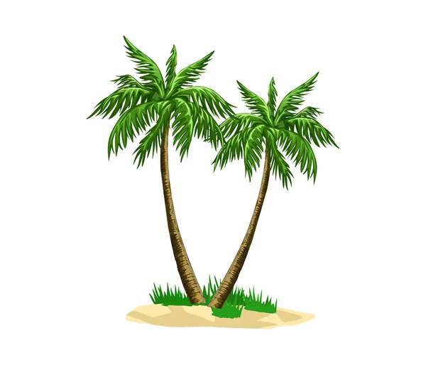 Çizgi Film Palmiye Ağacı Ikonu Vektör Illüstrasyonu — Stok Vektör
