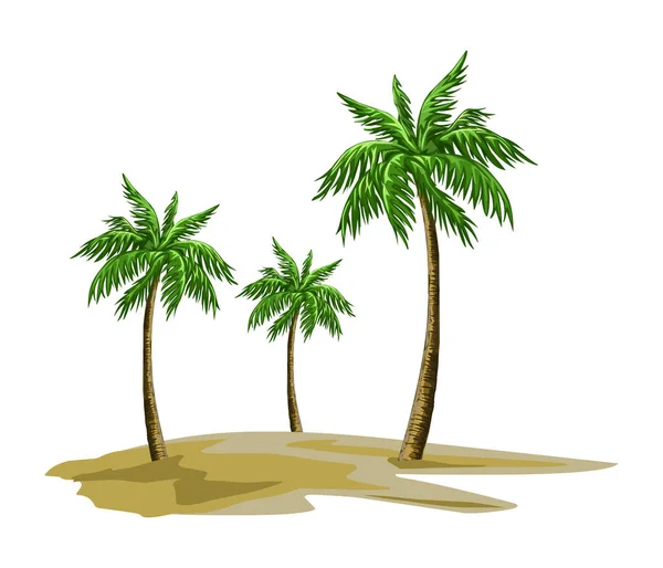 Palm Trees Sand — Stock Vector