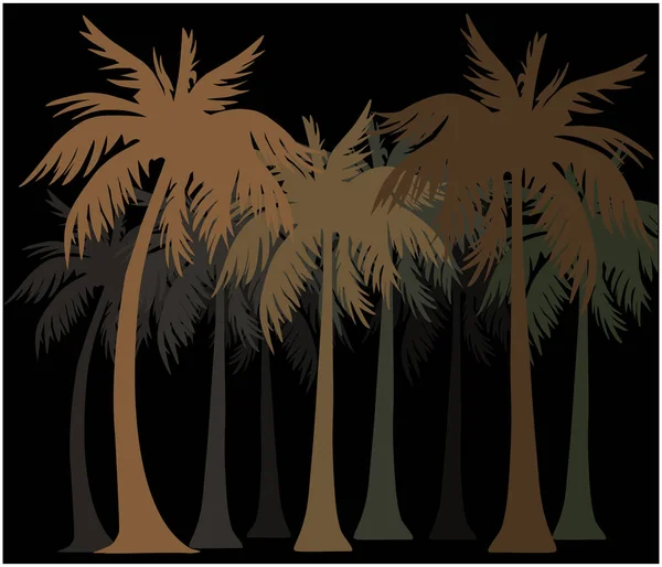 Silhouette Palme Sfondo Nero — Vettoriale Stock