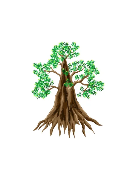 Árvore Com Folhas Verdes Sobre Fundo Branco — Vetor de Stock