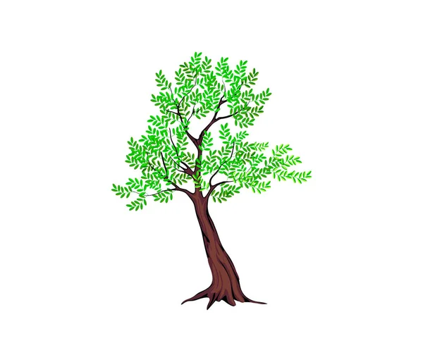 Дерево Зелеными Листьями Белом Фоне — стоковый вектор