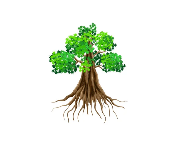 Дерево Зеленим Листям Білому Тлі — стоковий вектор