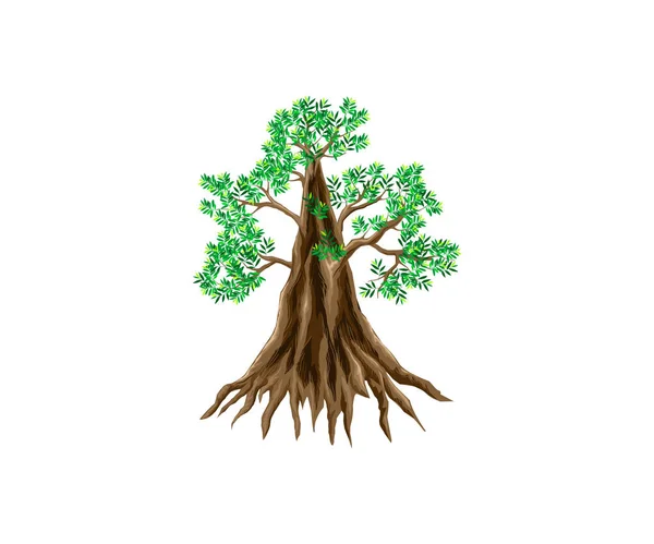白い背景に緑の葉を持つ木 — ストックベクタ