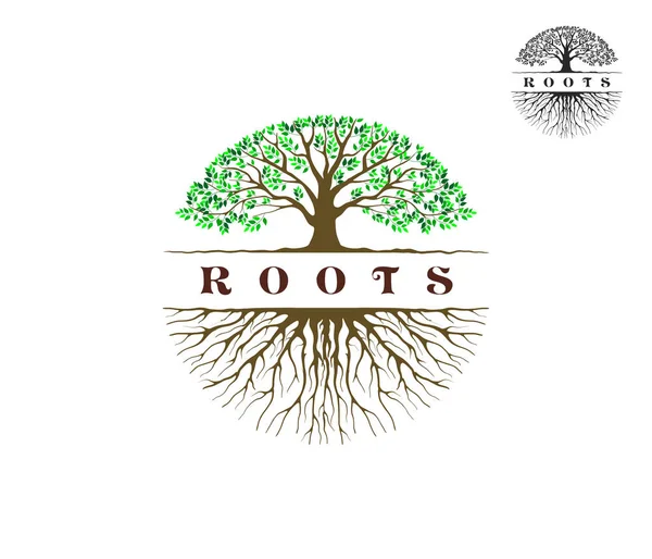 stock vector tree roots. vector design. 