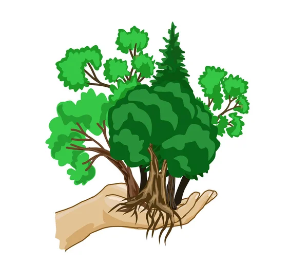 Genç bir bitkinin eli 