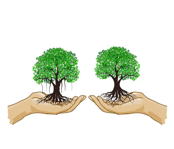 ağaç simgesi vektör illüstrasyonunu ayarladı  