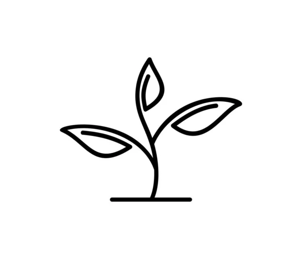 Vektor Illustration Ikon Växt Ikon — Stock vektor