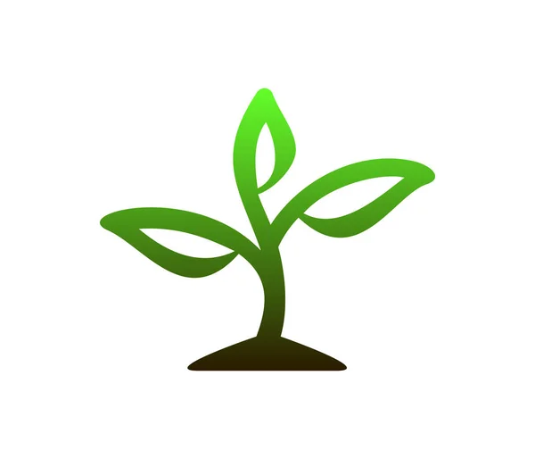Logotipo Planta Vector Diseño Ilustración — Archivo Imágenes Vectoriales
