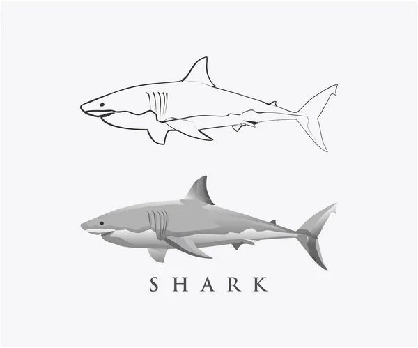 Köpekbalığı logosunun vektör çizimi 