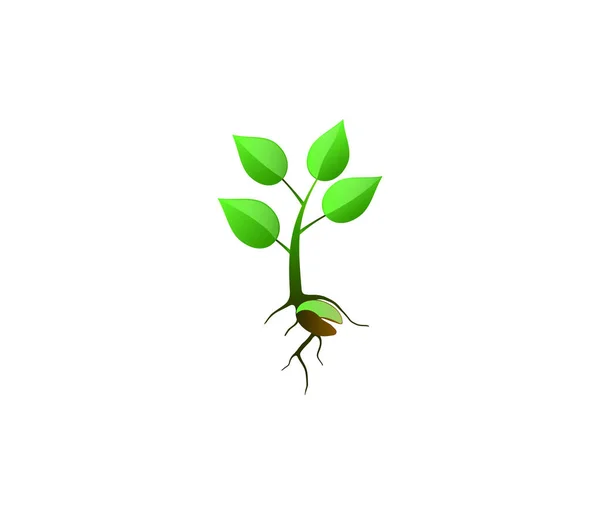 Icono Planta Verde Ilustración Vectorial Plana — Vector de stock