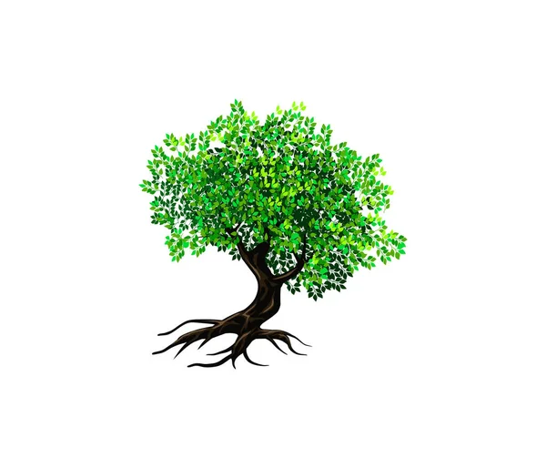 Árvore Ícone Vetor Ilustração — Vetor de Stock