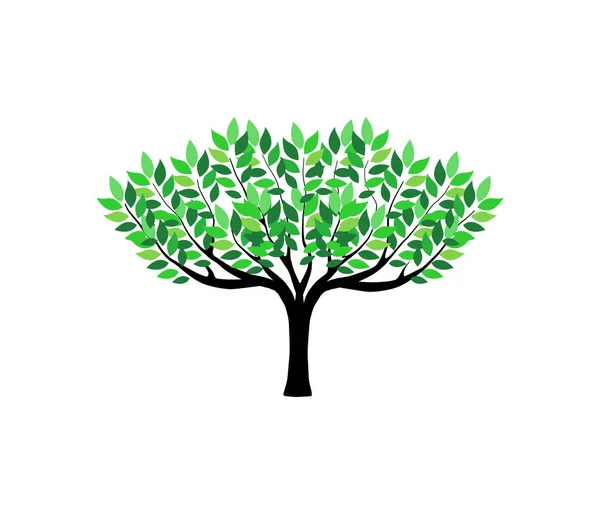 Beyaz Arka Planda Yeşil Yapraklı Ağaç — Stok Vektör