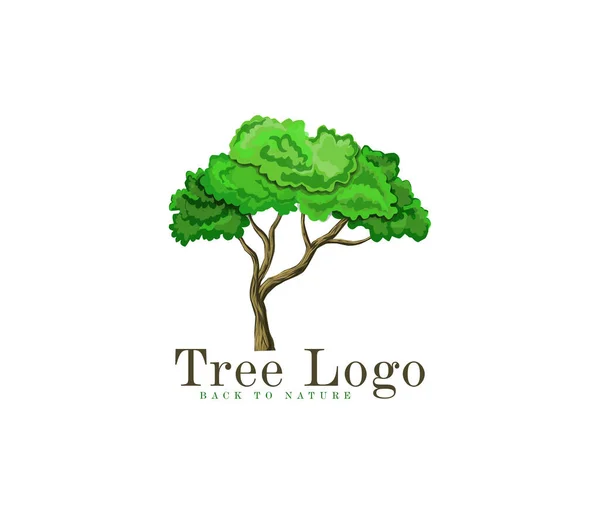 Baum Vektor Symbol Design Illustration — Stockvektor