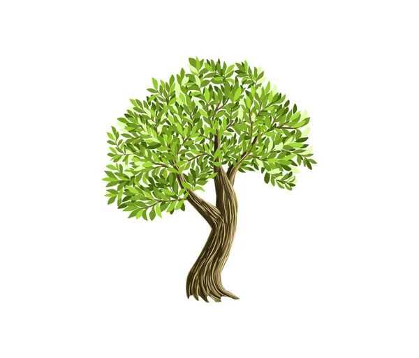 Ağaç Simgesi Vektör Illüstrasyonu — Stok Vektör