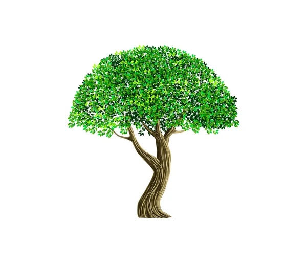 Векторная Иллюстрация Дерева — стоковый вектор