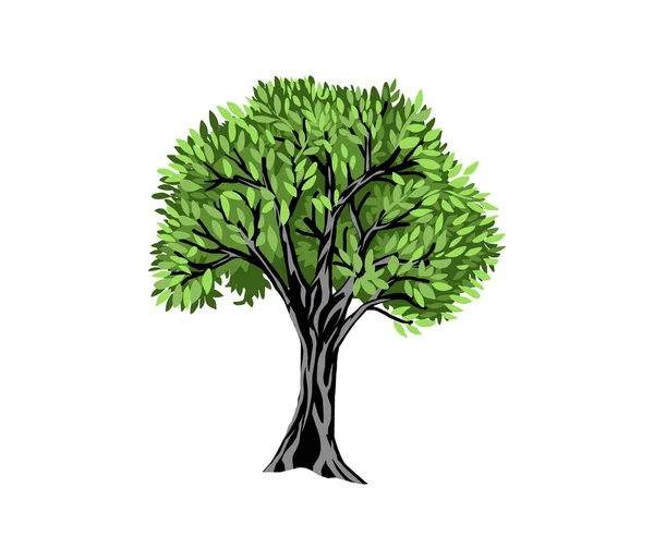 Vektor Illustration Ett Träd — Stock vektor
