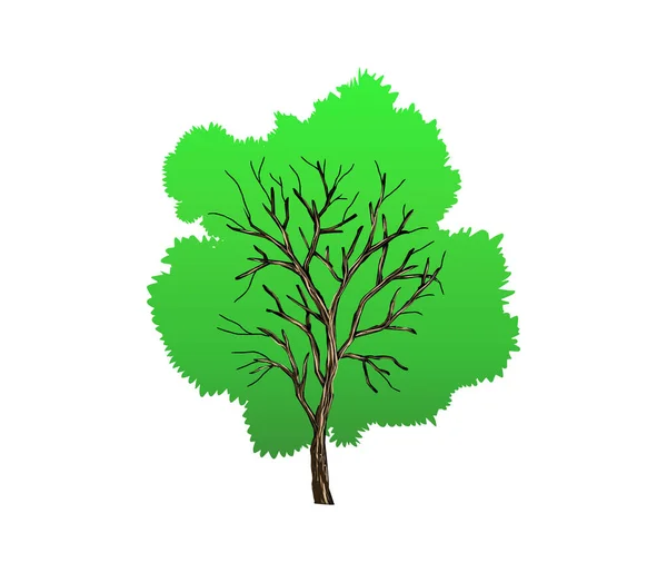 背景上孤立的绿树 — 图库矢量图片