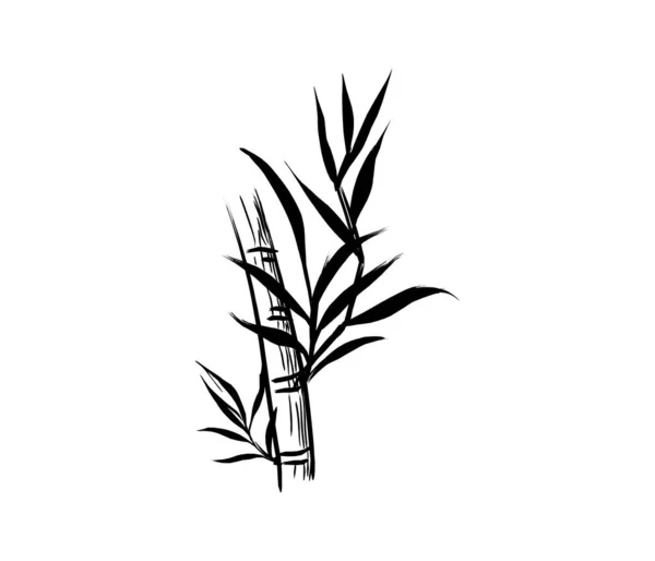 Векторная Иллюстрация Иконок Бамбука — стоковый вектор