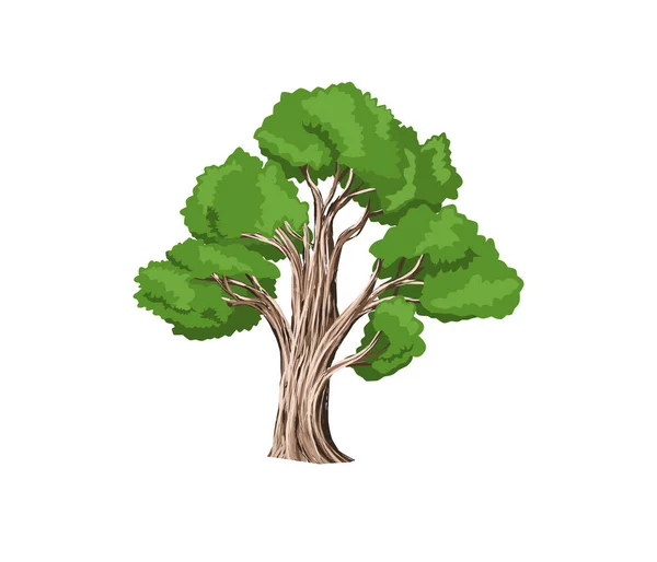 Vektor Ilustrasi Pohon Kartun Terisolasi Latar Belakang Putih - Stok Vektor