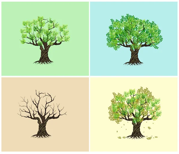 Bäume Icon Set Vektor Illustration — Stockvektor
