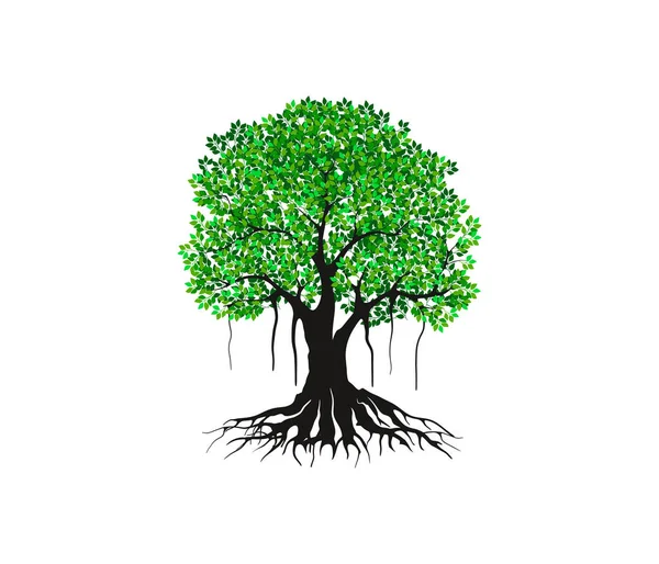 Ilustrasi Vektor Ikon Pohon - Stok Vektor