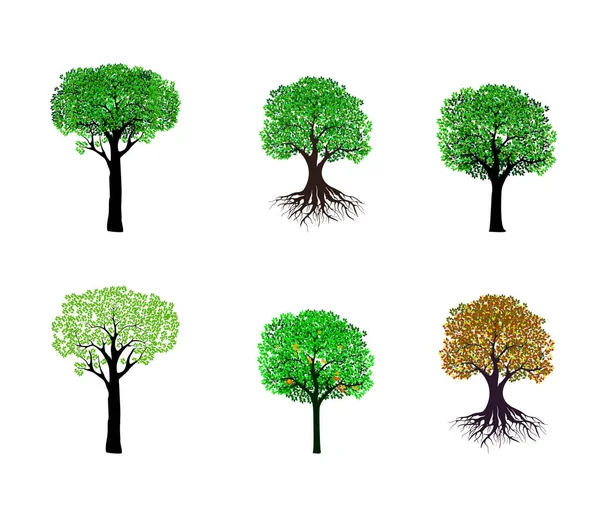 Drzewa Ikona Zestaw Wektor Ilustracja — Wektor stockowy