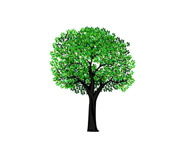 Ağaç Simgesi Vektör Illüstrasyonu — Stok Vektör