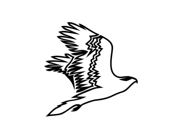 Векторный Шаблон Логотипа Орла — стоковый вектор